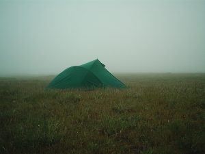 Misty morning