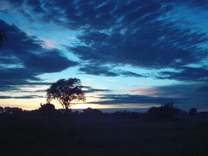 Sunset over the Delta