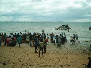 Selling fishes