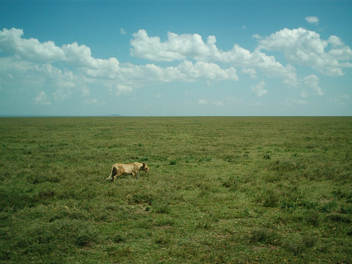 Kenya