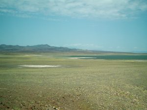 Arid landscape