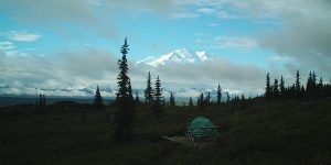 Mt. McKinley