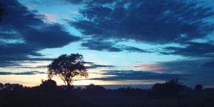 Sunset over the Delta